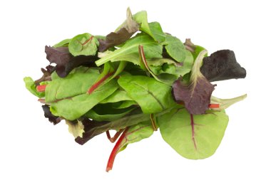 karışık salata bebek kırmızı yaprak, Bebek ıspanak & üzerinde beyaz izole kırmızı pazı