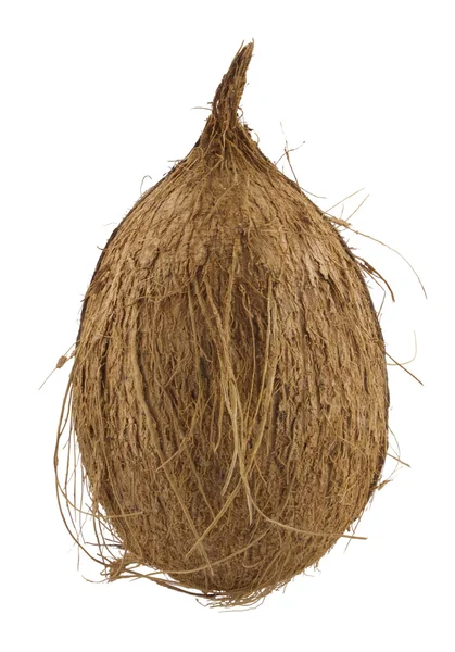 Orzechy kokosowe izolowane na białym tle — Zdjęcie stockowe