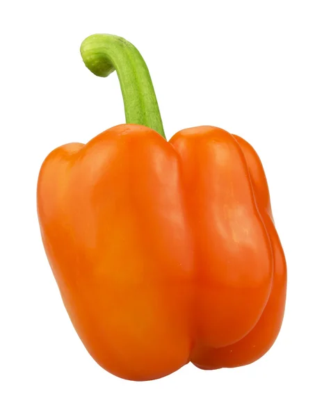 Oranje peper op witte achtergrond — Stockfoto