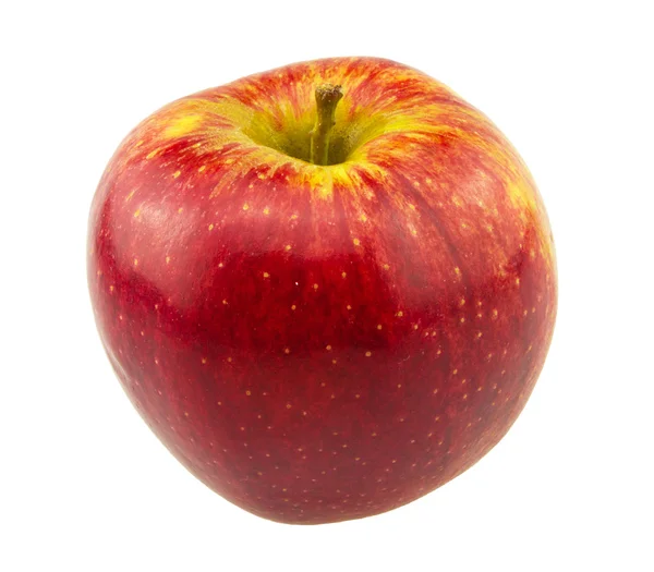 Red rip apple isolated on white — Stock Photo, Image