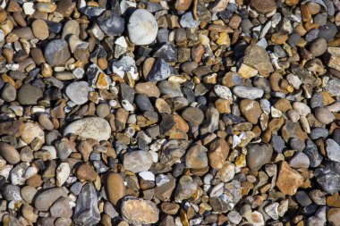 Deniz taşları arka plan