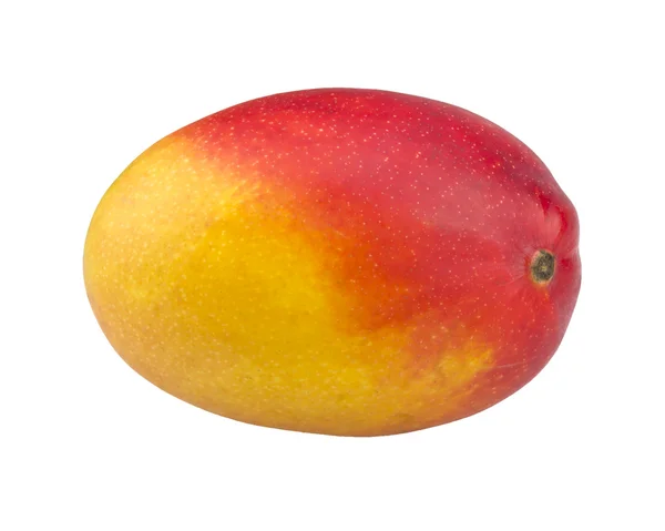 Fruto de mango aislado sobre fondo blanco — Foto de Stock