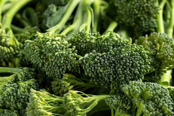 Brócolos Tenderstem frescos para dieta e alimentação saudável. — Fotografia de Stock