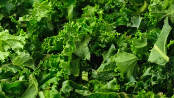 Kale salad leaves background. Healthy food. Rotating video — стоковое видео