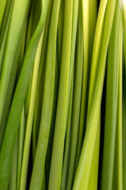 Taze taze soğan yığını. Makro fotoğraf