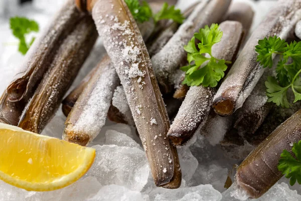 Frozen raw razor clam shellfish on ice, healthy pescatarian sea food concept — Stock Photo, Image