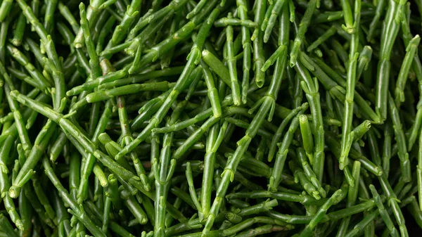 Fresh Raw Samphire Close Background Texture Stock Picture