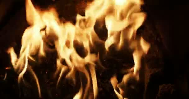 Een korte HD 4K videoclip van een brandend houtvuur — Stockvideo