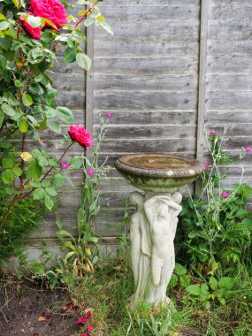 Ahşap çitin yanında süslü bir kuş banyosu.