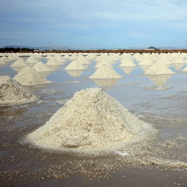 salt farm
