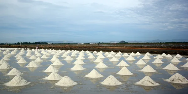 Sea salt in salt farm — Stock Photo, Image