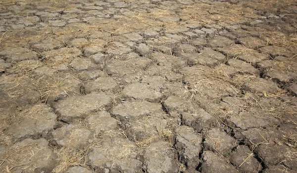 Tierra agrietada seca como fondo o textura — Foto de Stock