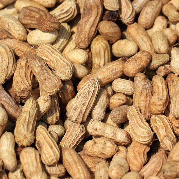 Mucchio di arachidi secche come sfondo — Foto Stock