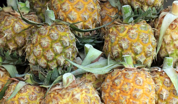 Ananas na trhu — Stock fotografie