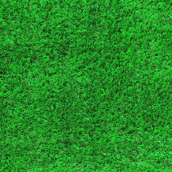 Hierba verde como fondo —  Fotos de Stock