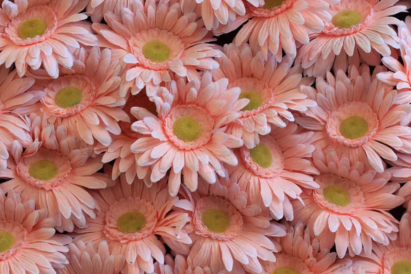 Beautiful decoration artificial flower — Stock Photo, Image