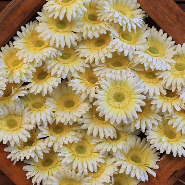 Güzel dekorasyon yapay çiçek — Stok fotoğraf