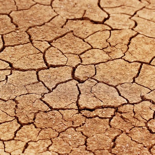 Terra rachada seca como fundo — Fotografia de Stock