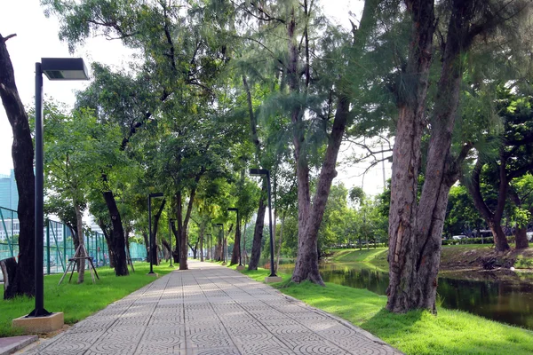 Grüner Stadtpark — Stockfoto