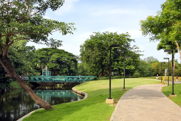 Parque verde de la ciudad — Foto de Stock