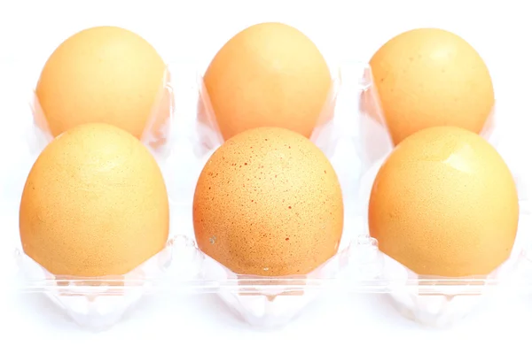 Jajko — Zdjęcie stockowe