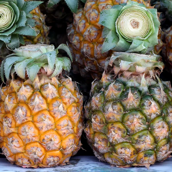 Ananas — Stock fotografie