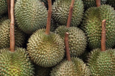 Durian meyve pazarı tepsi