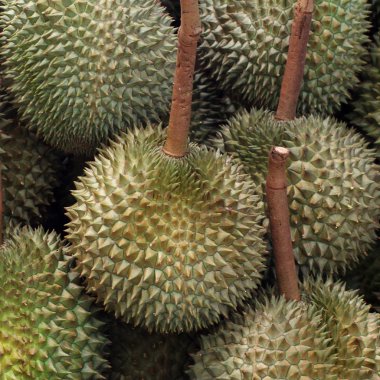 Durian meyve pazarı tepsi