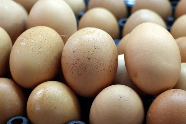 Stos jajko — Zdjęcie stockowe