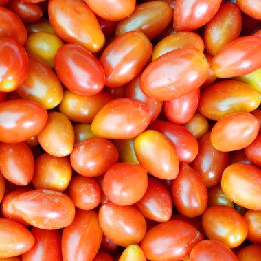 arka plan olarak taze domates