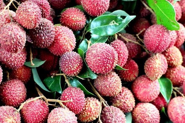 Lychee or litchi at fruit market — Stock Photo, Image