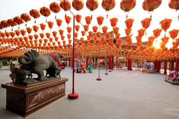 Chinese lantern — Stock Photo, Image