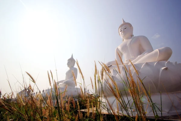 Imagem de Buda — Fotografia de Stock