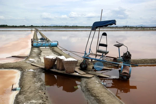 Outils agricoles et sel dans le panier — Photo