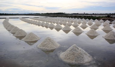 salt farm
