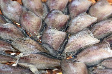 trichogaster balık kurutulmuş