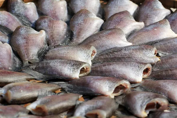 Сушені trichogaster риби — стокове фото