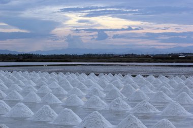 salt farm