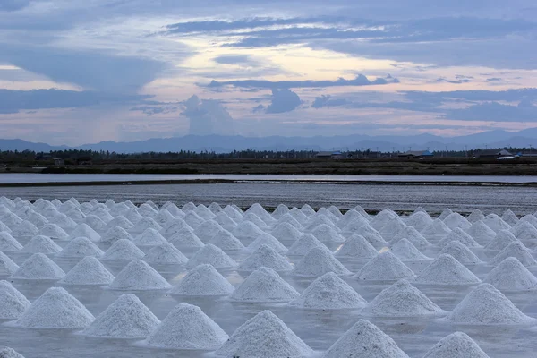 Salt farm — Stock Photo, Image