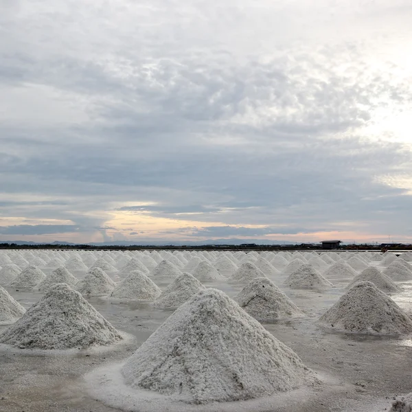 Sea salt — Stock Photo, Image