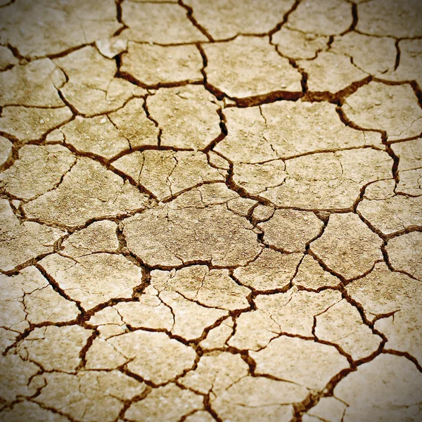 Terre fissurée sèche — Photo
