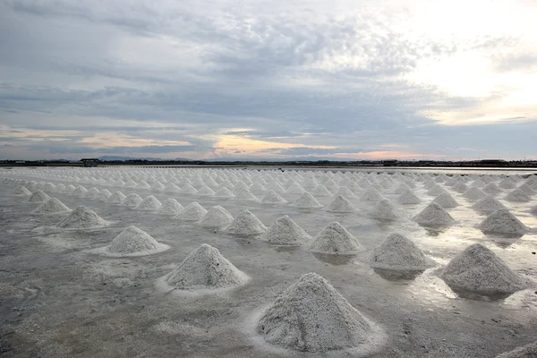 Salt farm — Stock Photo, Image