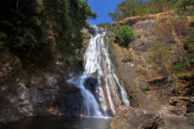 manzara fotoğraf, yeşil orman şelale şaşırtıcı