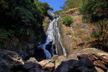 manzara fotoğraf, yeşil orman şelale şaşırtıcı