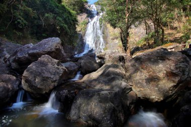 manzara fotoğraf, yeşil orman şelale şaşırtıcı