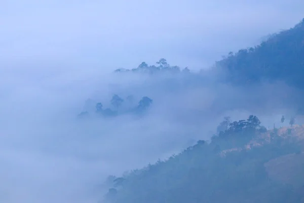 Τοπίο Φωτογραφία Θάλασσα Ομίχλης Στις Στους Λόφους Του Βουνού — Φωτογραφία Αρχείου