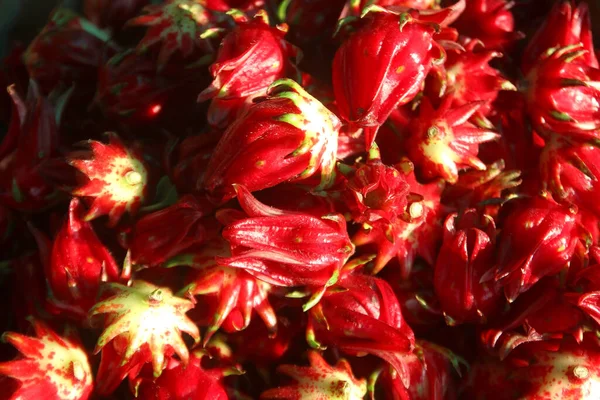 Detailní Záběr Ibišku Sabdariffa Nebo Růžového Ovoce — Stock fotografie