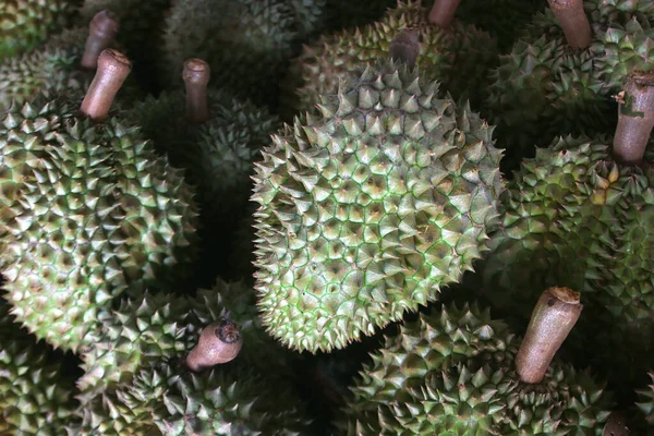 Photo Durian Fruit Market Tray — Stock fotografie