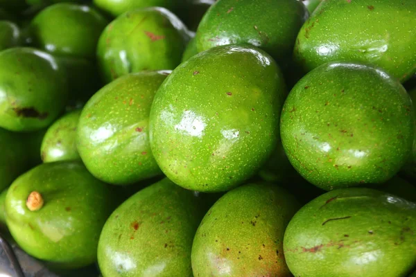Avocat Palta Guacamole Fruits Dans Ferme Biologique — Photo