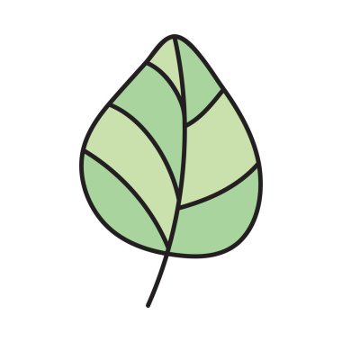 Beyaz arkaplan vektör illüstrasyonunda el çizimi canavar tropikal yaprak ikonu. Yağmur Ormanları sembol koleksiyonu Çizgi film çizim elementi